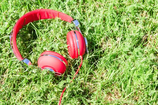 Vibrant red colored headphones on fresh green glade