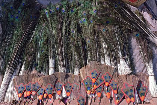 Peacock feathers in shop, nepal