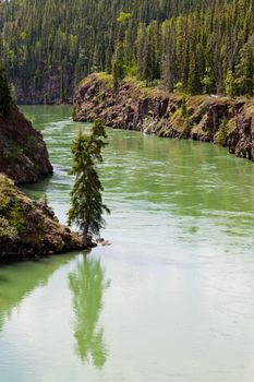 Miles Canyon of Yukon River rock cliffs in dense boreal forest taiga just South of the city of Whitehorse Yukon, Territory, Canada