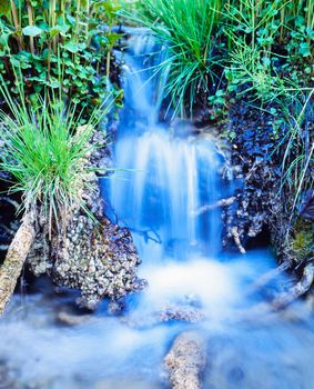 Clean water of small creek waterfall gushing among grass and plants of green meadow
