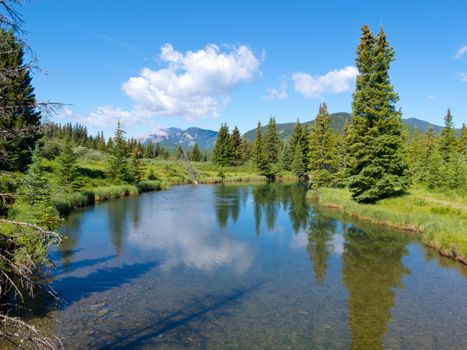 Small river clear water flow in Willmore Wilderness Park, Alberta, Canada, mountain nature habitat landscape