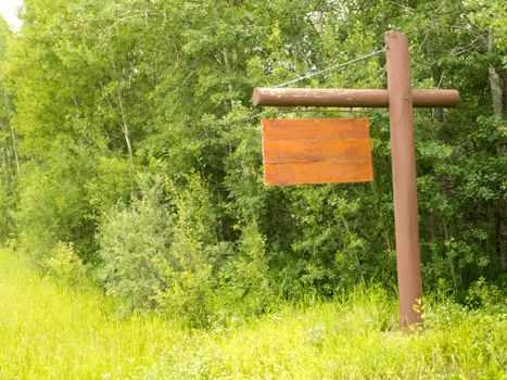Empty rustic wooden sign with copyspace ready for your text message, hanging on pole with dense green forest background