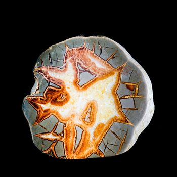 Septarian concretion grey mud stone with yellow scalenohedral calcite crystals polished rock surface