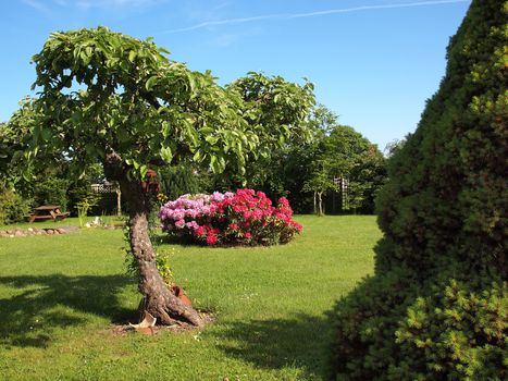 Blooming flowers and plants corner island in a beautiful garden