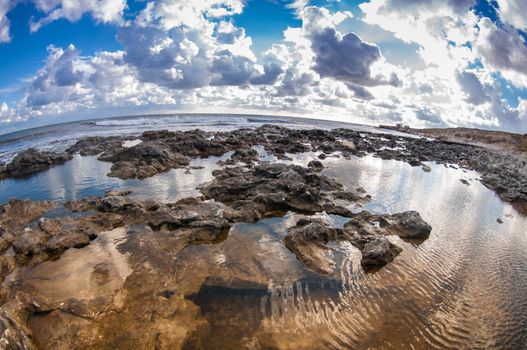 Sea during the ebb. rocky seashore.