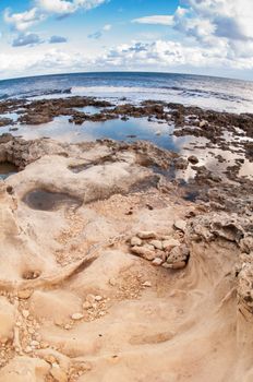 Rocky shore at low tide. Closeup.