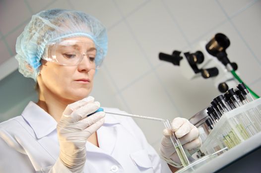 A female doctor examines a sample. Shallow depth of field. Focus on foreground, hands.
Could be useful for medicine, hospital, research and development, clinical studies, forensics, science etc