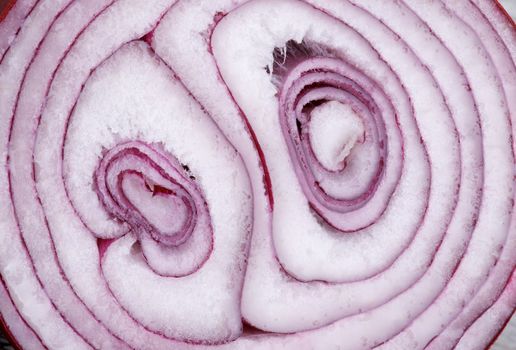 Background of Red Onion Slice Cross Section closeup