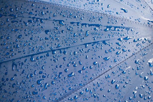 Water drops background 