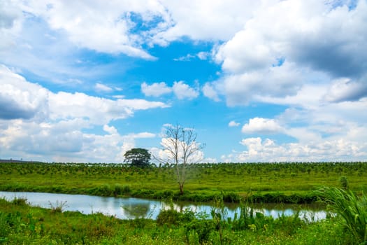 nature scene of rural area in Chiangrai,Thailand