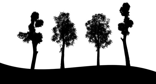 Set of tree silhouette on white background