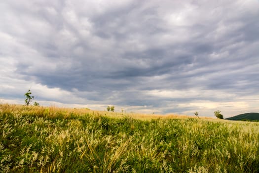 nature scene of rural area in Chiangrai,Thailand