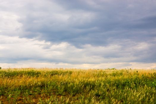 nature scene of rural area in Chiangrai,Thailand