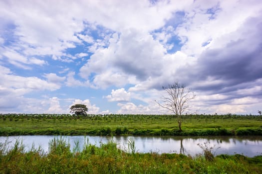 nature scene of rural area in Chiangrai,Thailand