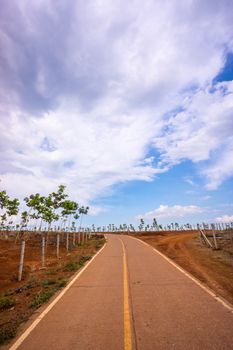 nature scene of rural area in Chiangrai,Thailand