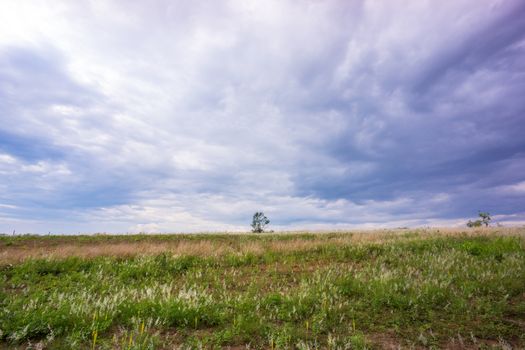 nature scene of rural area in Chiangrai,Thailand