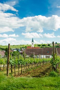 Village in Weinviertel, a region of Austria