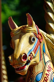 Portrait of fairgound horse
