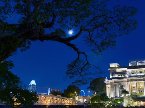 Tree and Moon. Singapore at Night. Center of Big City.