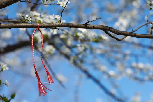 Bulgarian traditional custom spring sign Martenitsa on blosson tree branch against blue sky