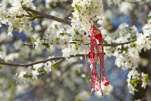 Bulgarian traditional custom spring sign Martenitsa on blosson tree branch against blue sky