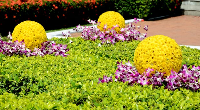 Flower decorate in garden