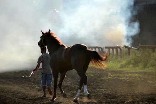 bandung, indonesia-may 31, 2014-man get walking together with his horse in arcamanik horse race arena