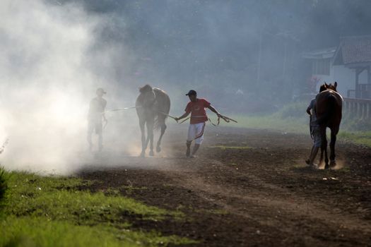 bandung, indonesia-may 31, 2014-man get walking together with his horse in arcamanik horse race arena