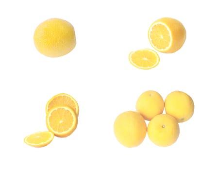 Collection of different oranges on a white background