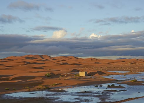 Pools of water amongst the sand dunes after a rain storm in the Sahara Desert in Morocco, North Africa