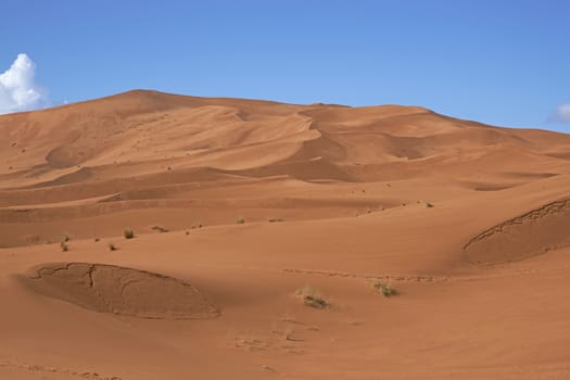 Sand dunes in the Sahara Desert of Morocco in North Africa