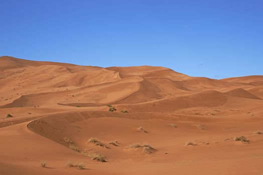 Sand dunes in the Sahara Desert of Morocco in North Africa