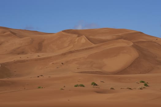 Sand dunes in the Sahara Desert of Morocco in North Africa