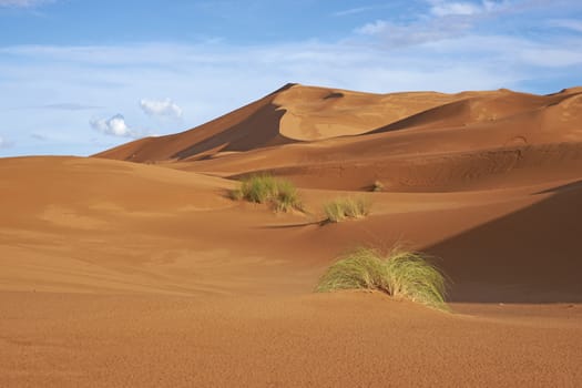 Sand dunes in the Sahara Desert of Morocco in North Africa