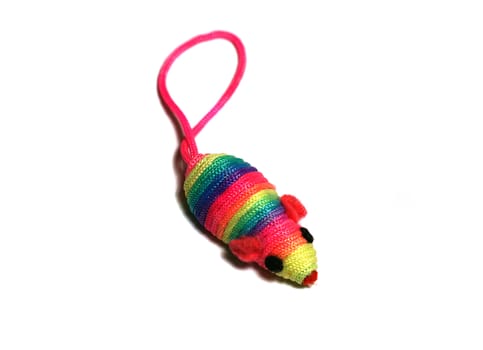 Colorful rainbow toy mouse                               