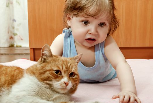 Tiny boy playing with ginger cat house.