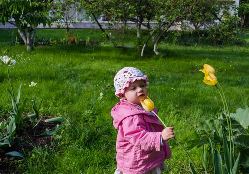 girl with pink clothes smell great yellow tulip on garden