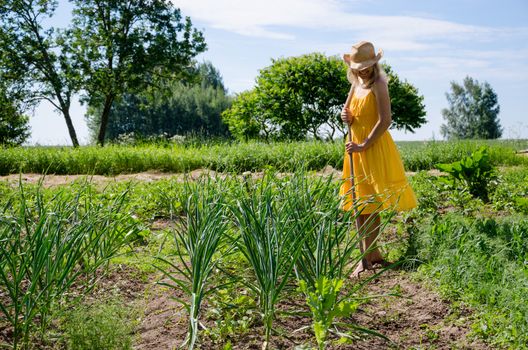 Barefoot gardener woman girl in yellow dress and hat work in garden with hoe between garlic and pea plant.