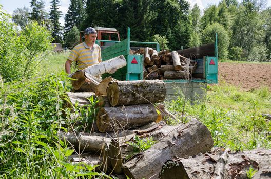 Lumberjack worker man load tree logs for firewood in tractor trailer.