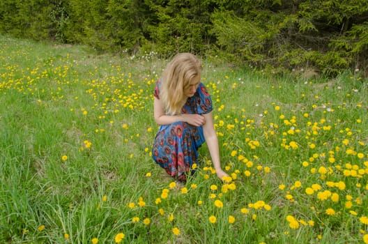 beautiful young blond woman on the meadow enjoy nature with yellow spring sowthistle