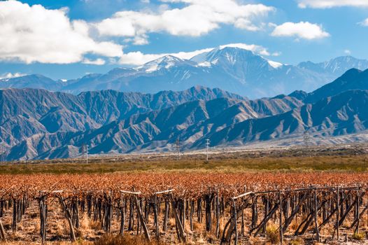 Volcano Aconcagua and Vineyard. Aconcagua is the highest mountain in the Americas at 6,962 m (22,841 ft). It is located in the Andes mountain range, in the Argentine province of Mendoza