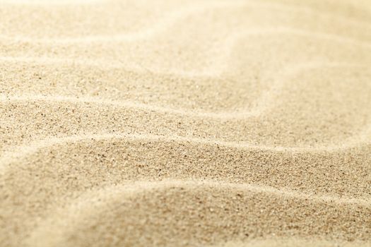 Sand texture for background. Top view. Copy space