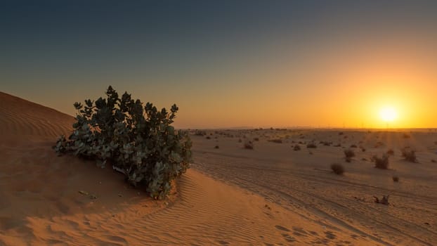 Sun rising in the arid desert landscapes of the United Arab Emirates