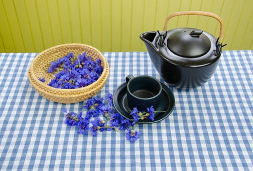 aroma fresh cornflower tea set on blue white checked tablecloth