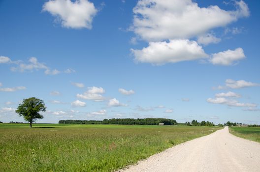 Landscape of rural gravel road and car automobile drive rising dust in countryside.