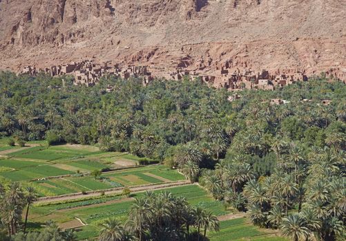 Traditional Berber village and cultivated fields along a river valley in the foothills of the Atlas Mountains in Morocco