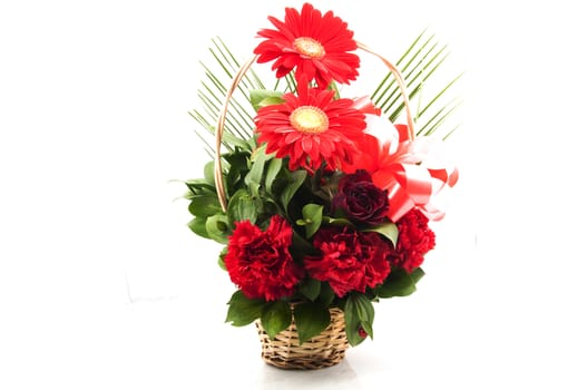 bouquet of red roses on a white background with