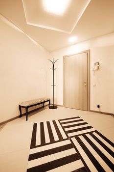 beautiful corridor with a door in a modern apartment
