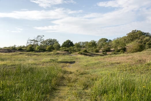 nature in holland with green field grass and blue sky