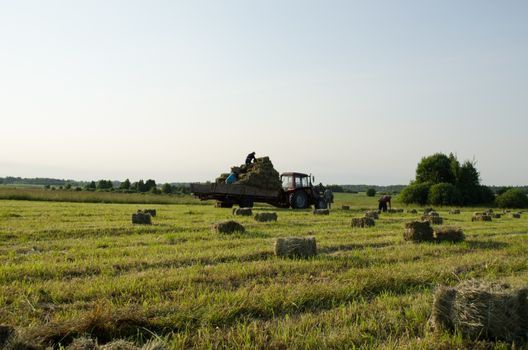 GIEDRAICIAI, LITHUANIA - CIRCA JUNE 2013 - farmers workers carry load dried hay straw bales to tractor trailer before rain circa June 2013 in Giedraiciai.